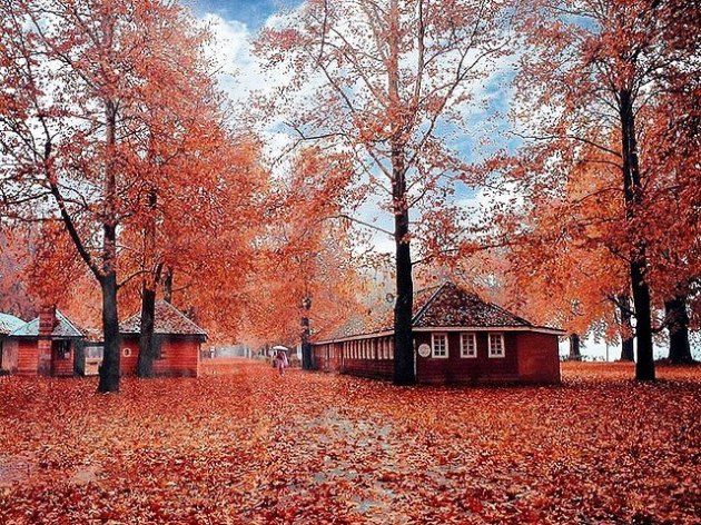 Autumn Packages